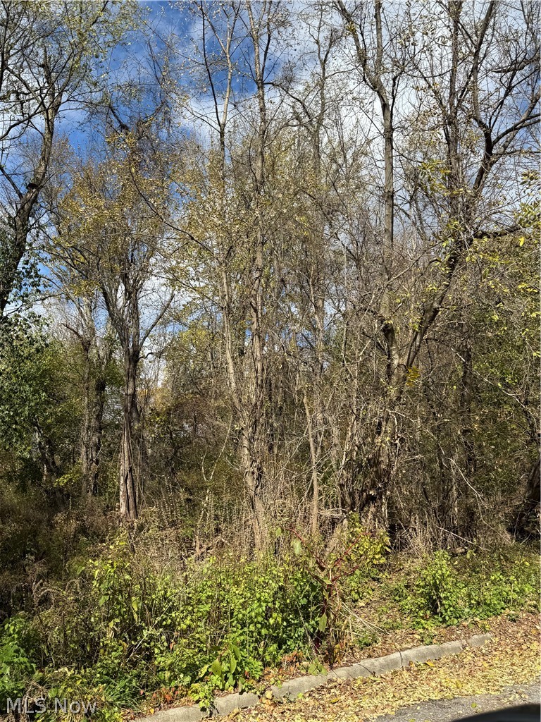 Harding Street Struthers OH 44471