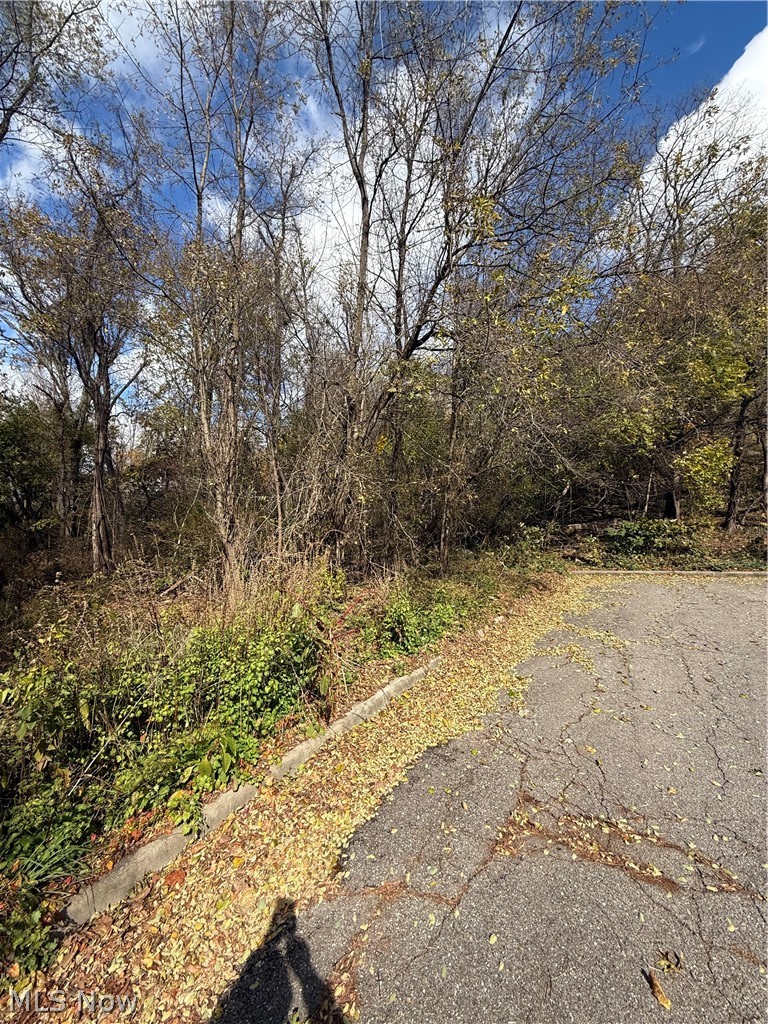 Harding Street Struthers OH 44471