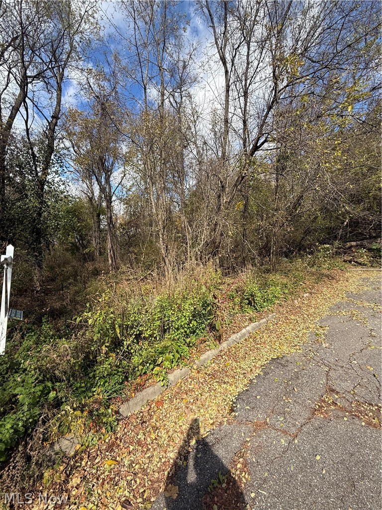 Harding Street Struthers OH 44471