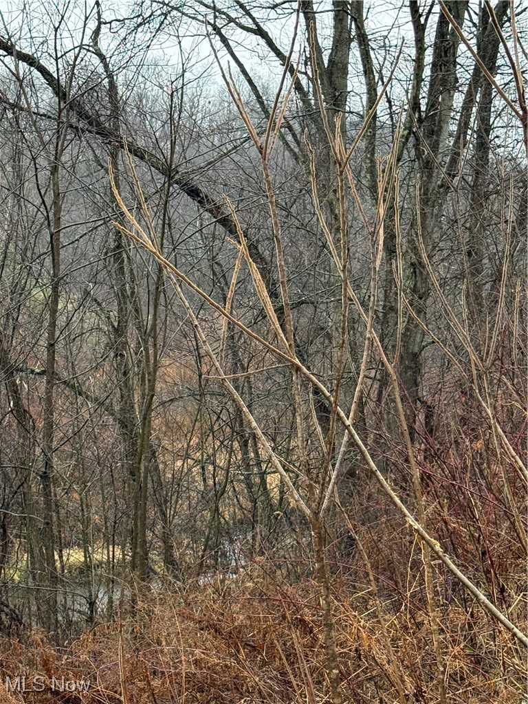 2492 Irish Ridge Road East Liverpool OH 43920