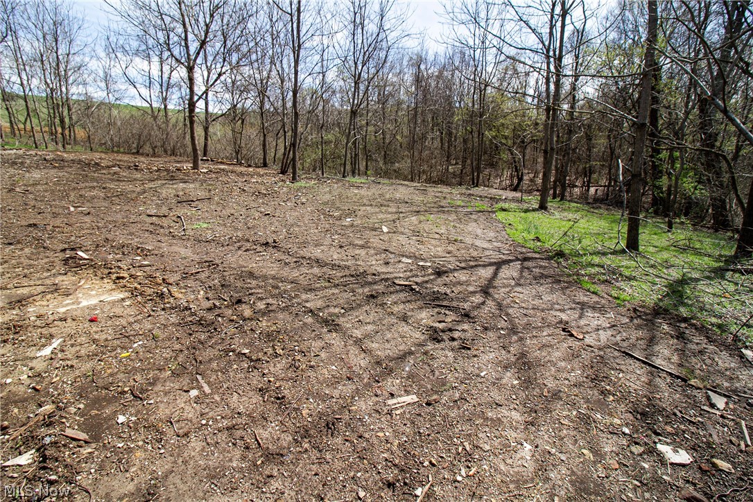 11 Ac Whiskey Run Road Quaker City OH 43773