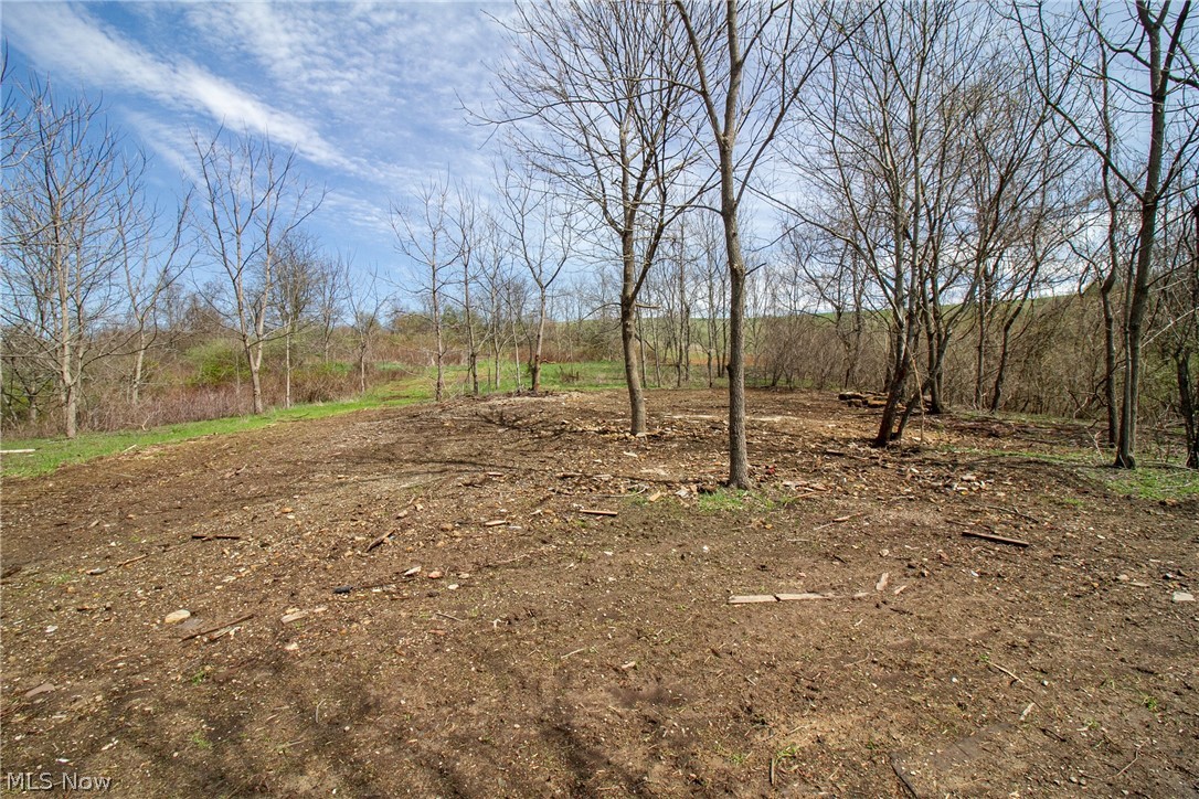 11 Ac Whiskey Run Road Quaker City OH 43773