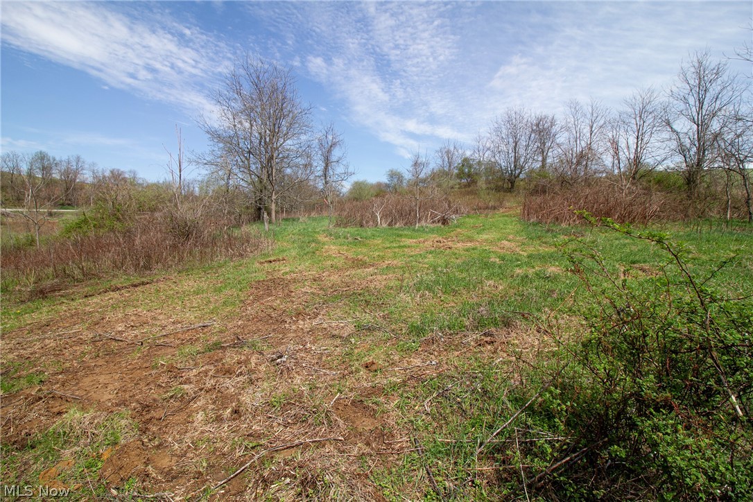 11 Ac Whiskey Run Road Quaker City OH 43773