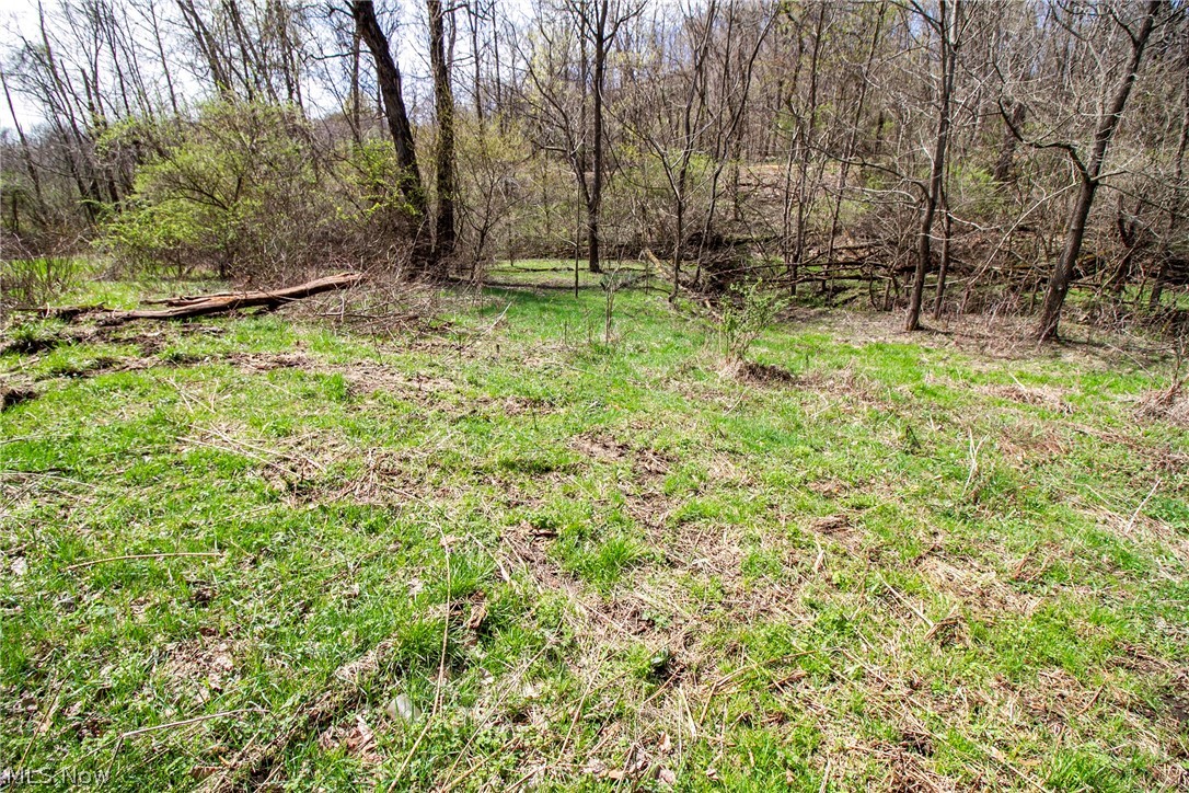 11 Ac Whiskey Run Road Quaker City OH 43773