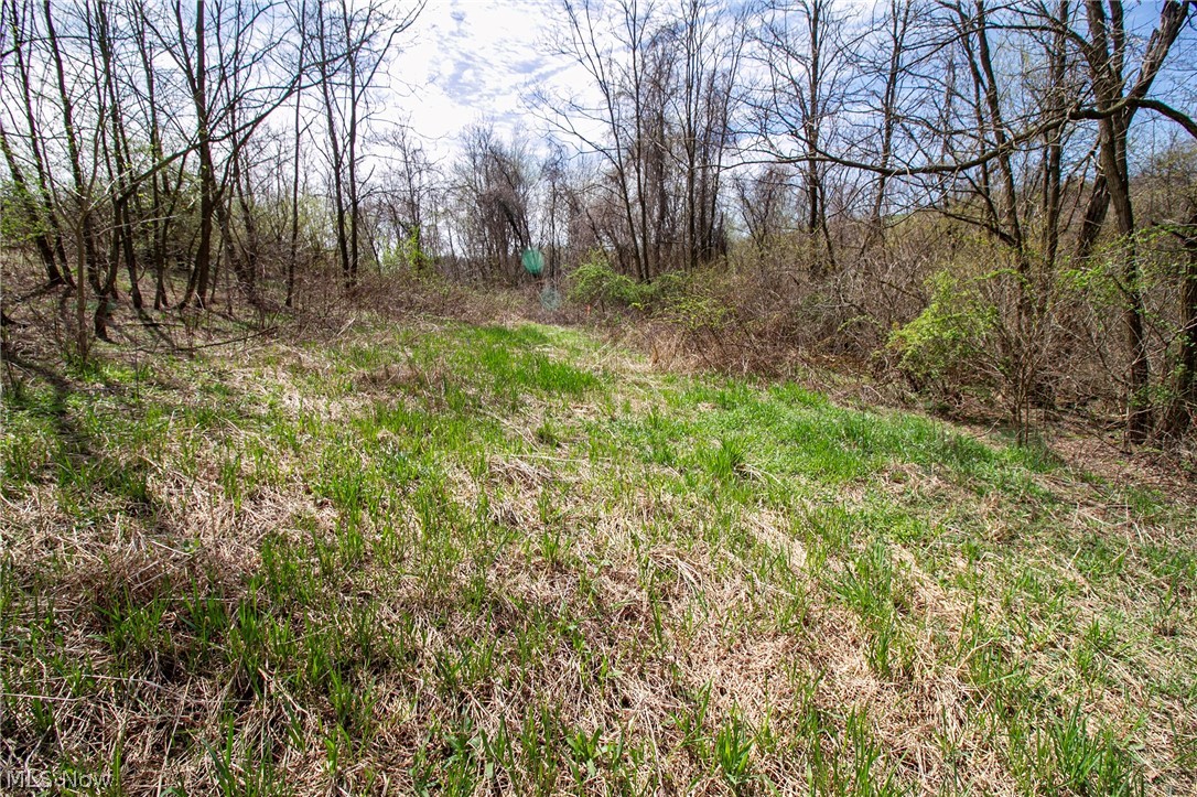 11 Ac Whiskey Run Road Quaker City OH 43773