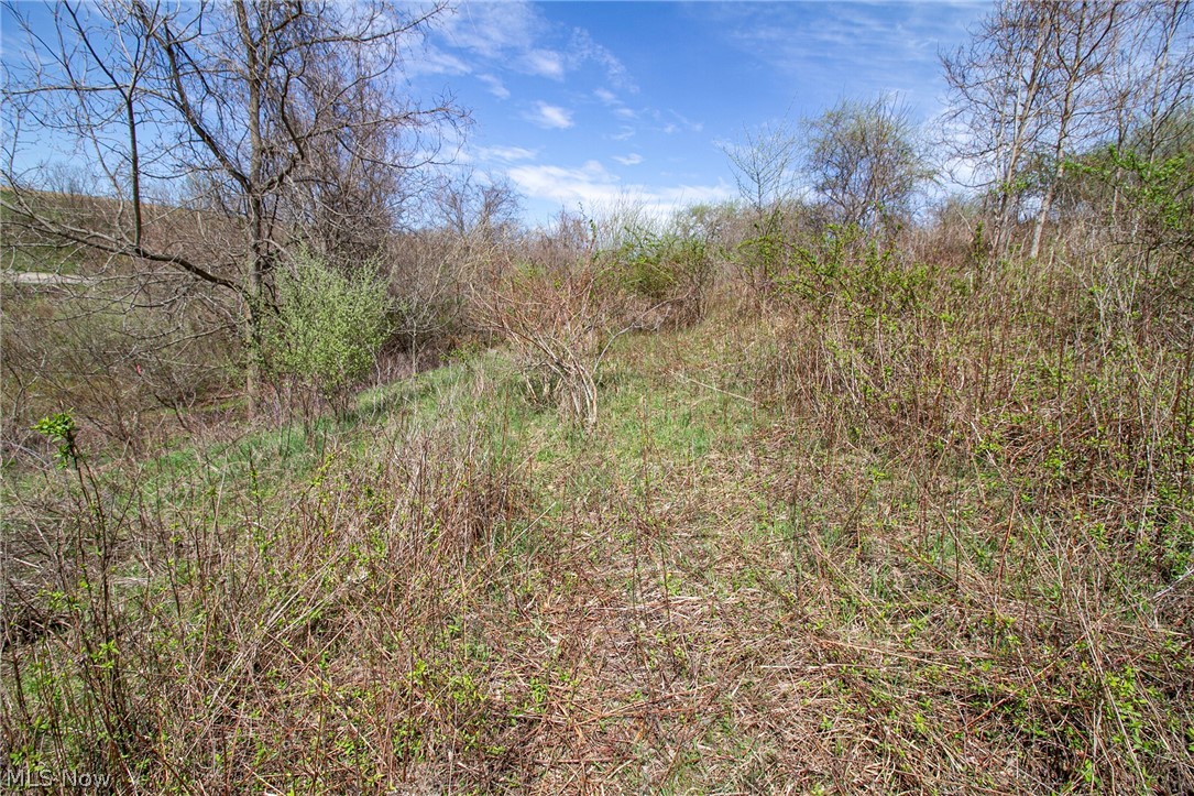 11 Ac Whiskey Run Road Quaker City OH 43773