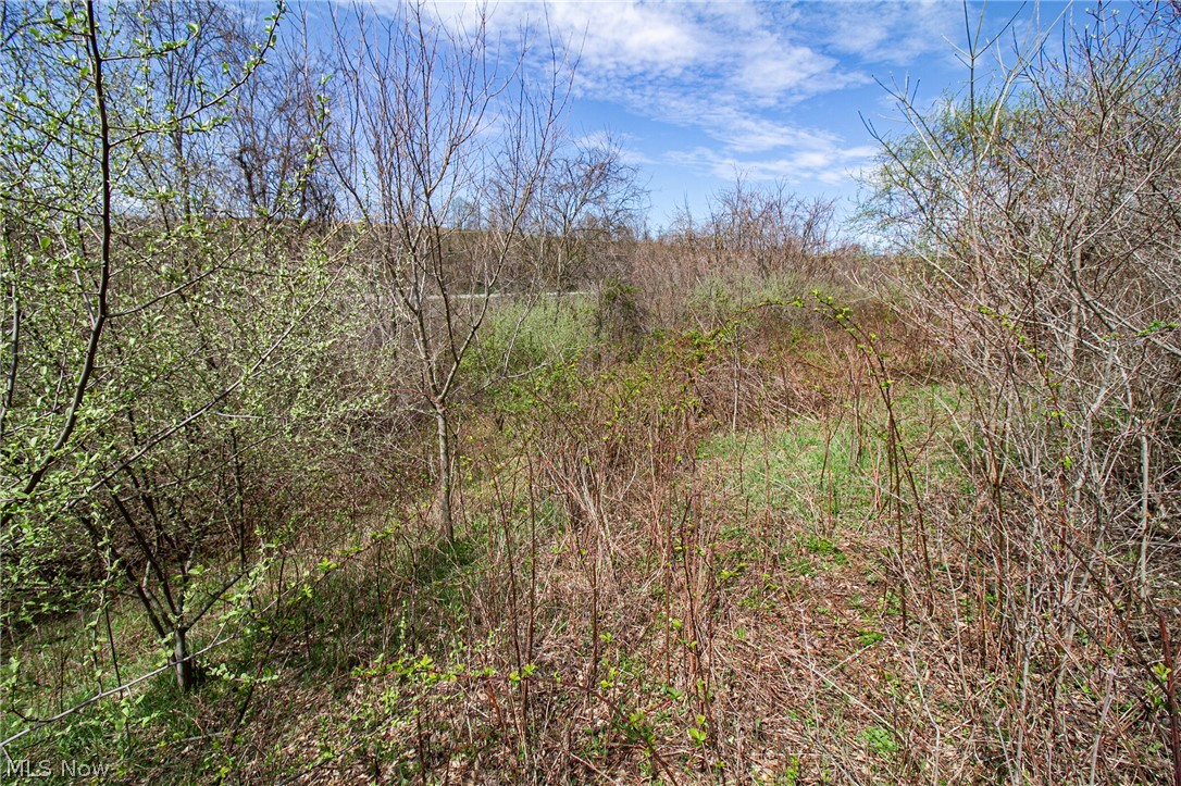 11 Ac Whiskey Run Road Quaker City OH 43773