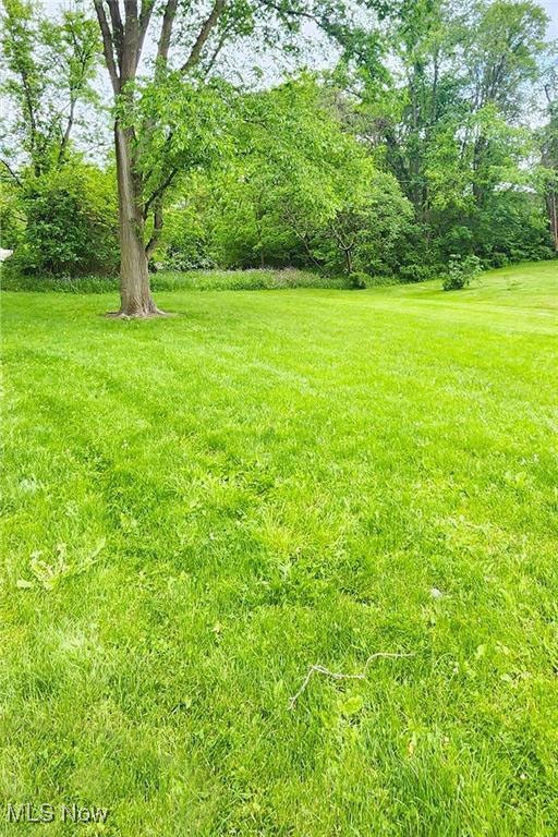 Walnut Street Wintersville OH 43953