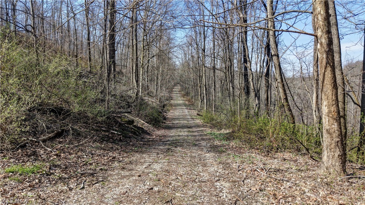 Township Road 262 Kimbolton OH 43749