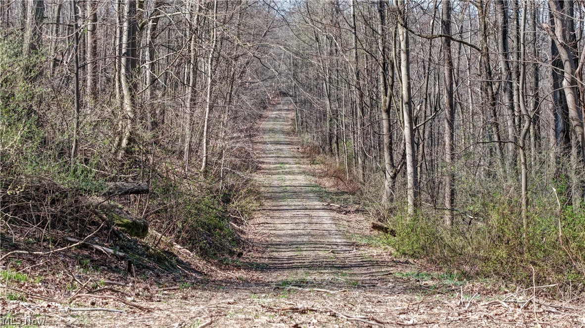 Township Road 262 Kimbolton OH 43749