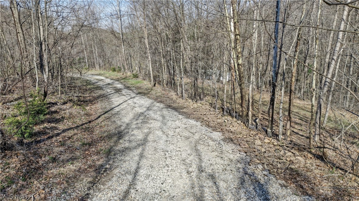 Township Road 262 Kimbolton OH 43749