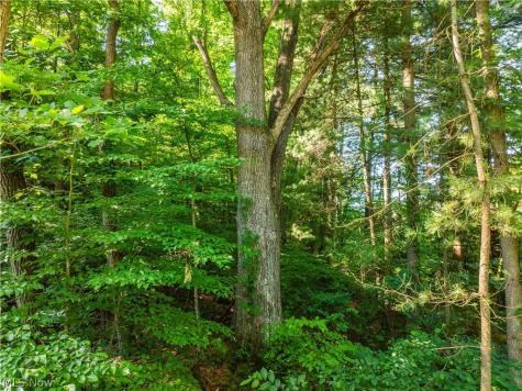 7413 Township Road 129 Millersburg OH 44654