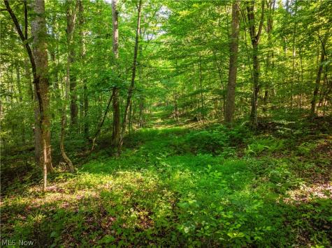 7413 Township Road 129 Millersburg OH 44654