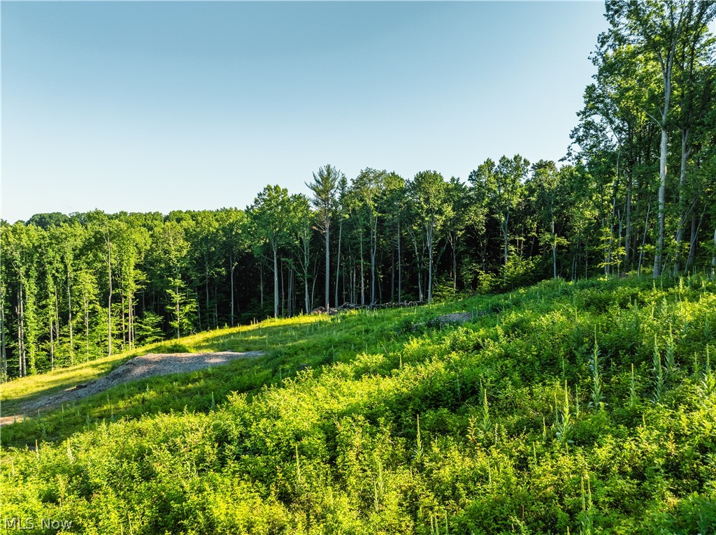 7413 Township Road 129 Millersburg OH 44654