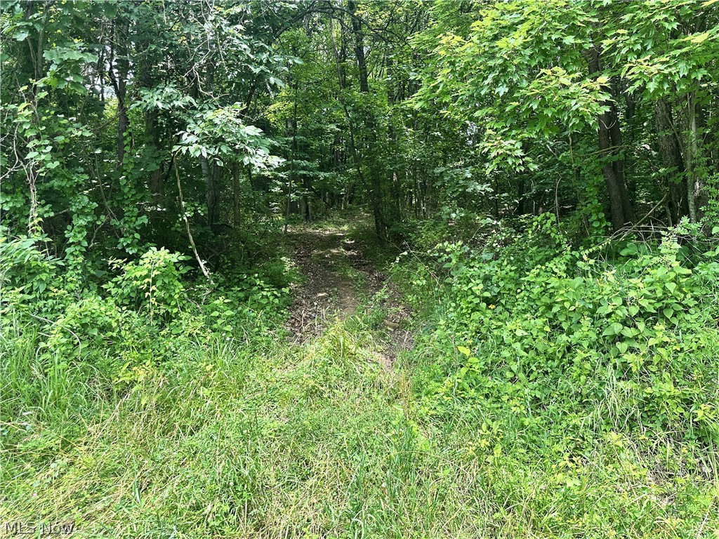 Patriot Road Carrollton OH 43903