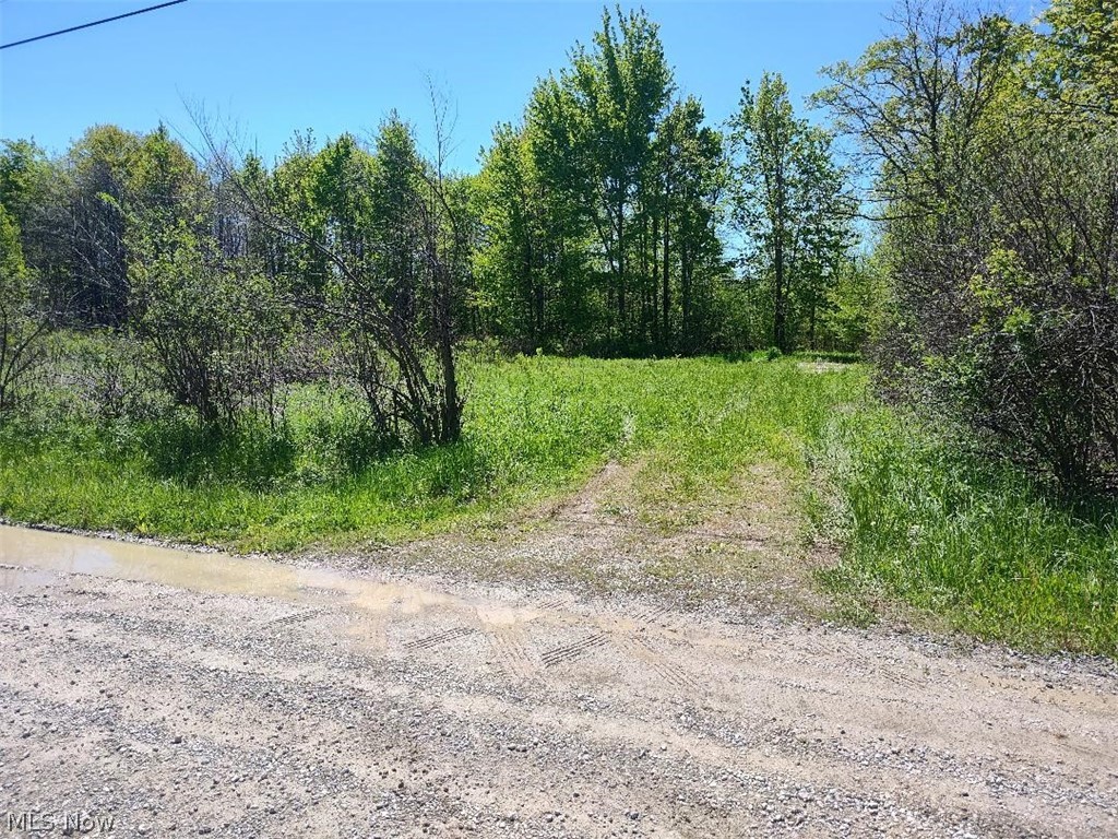3082 Fobes Road Rock Creek OH 44010