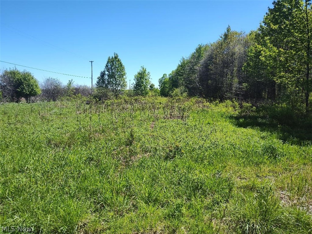 3082 Fobes Road Rock Creek OH 44010