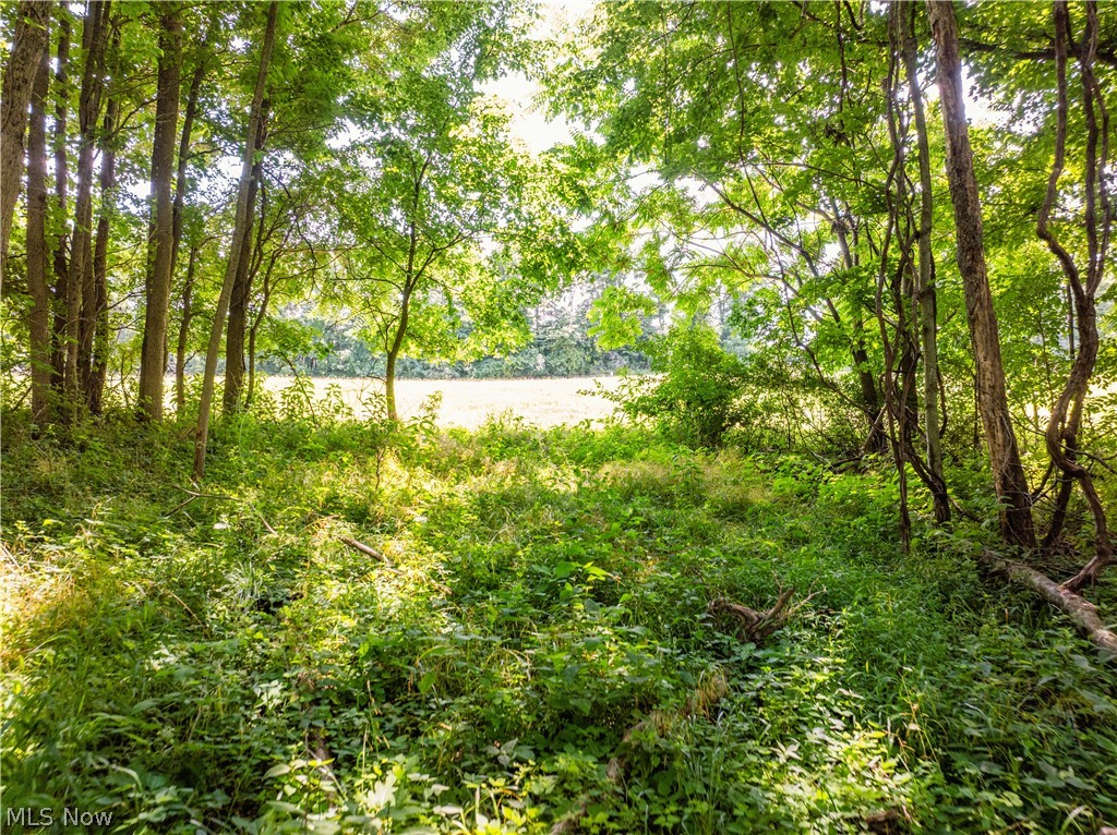 Lot 3 Township Road 51 Somerset OH 43783