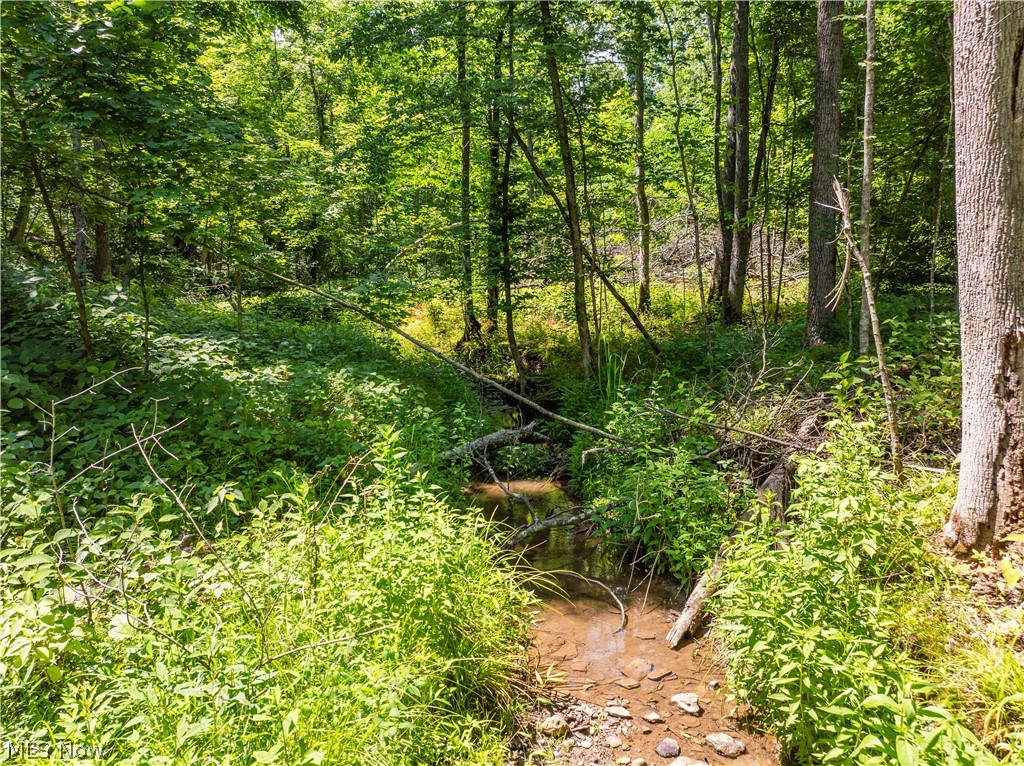 Lot 3 Township Road 51 Somerset OH 43783