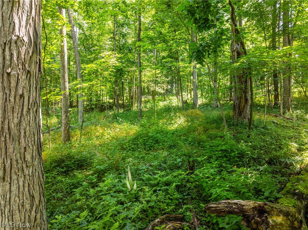 Lot 3 Township Road 51 Somerset OH 43783