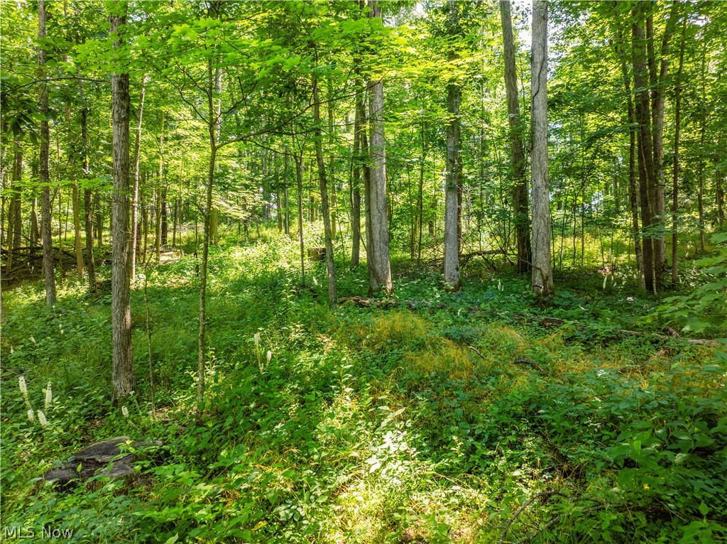Lot 3 Township Road 51 Somerset OH 43783