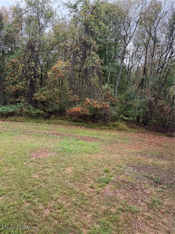 204 Reichart Avenue Wintersville OH 43953