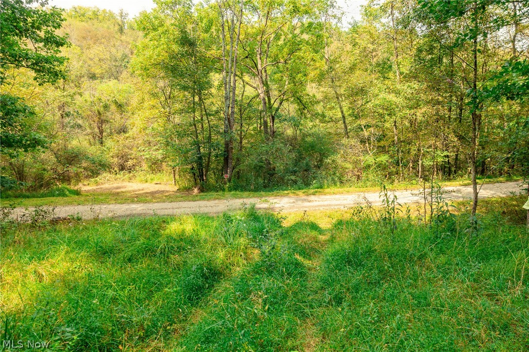 84134 Brewer Road Cadiz OH 43907