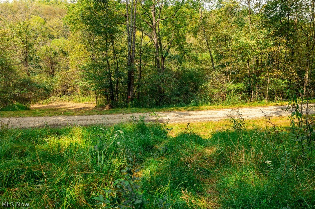 84134 Brewer Road Cadiz OH 43907