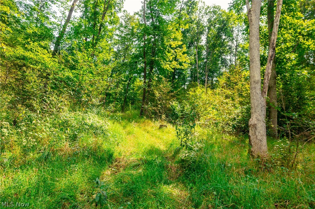 84134 Brewer Road Cadiz OH 43907