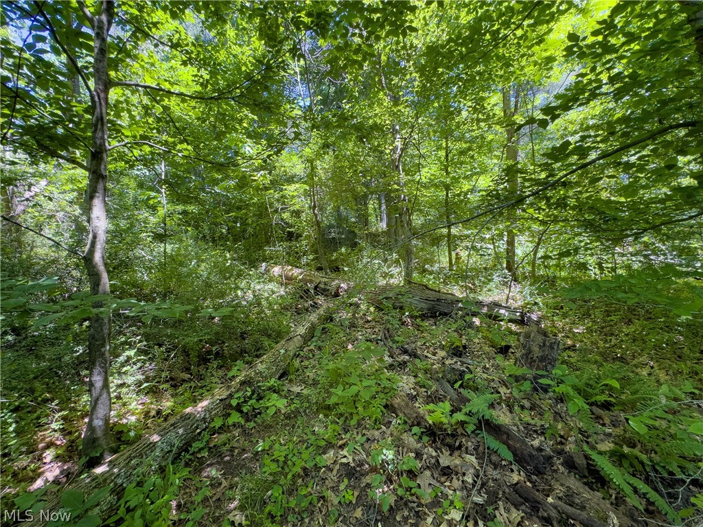 0 Long Hollow Road Pomeroy OH 45769