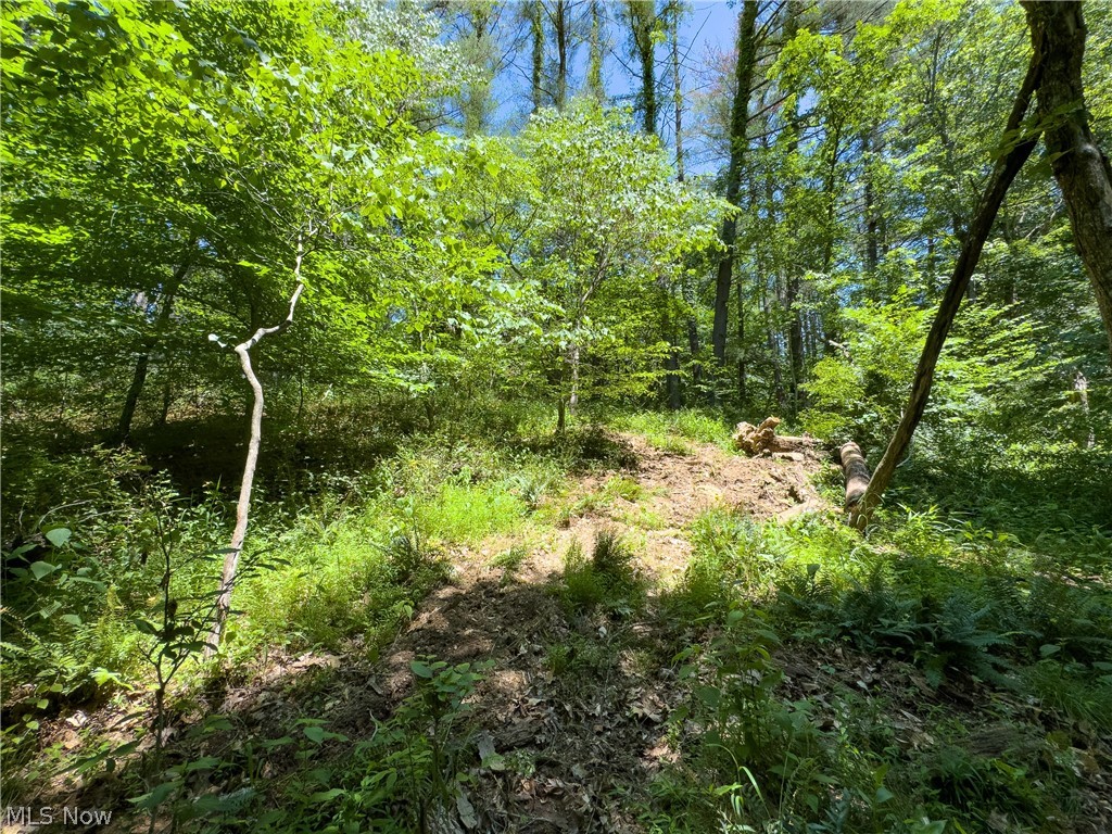 0 Long Hollow Road Pomeroy OH 45769