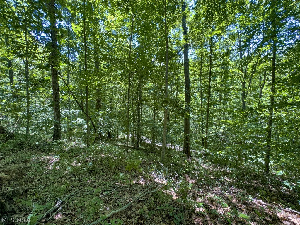 0 Long Hollow Road Pomeroy OH 45769