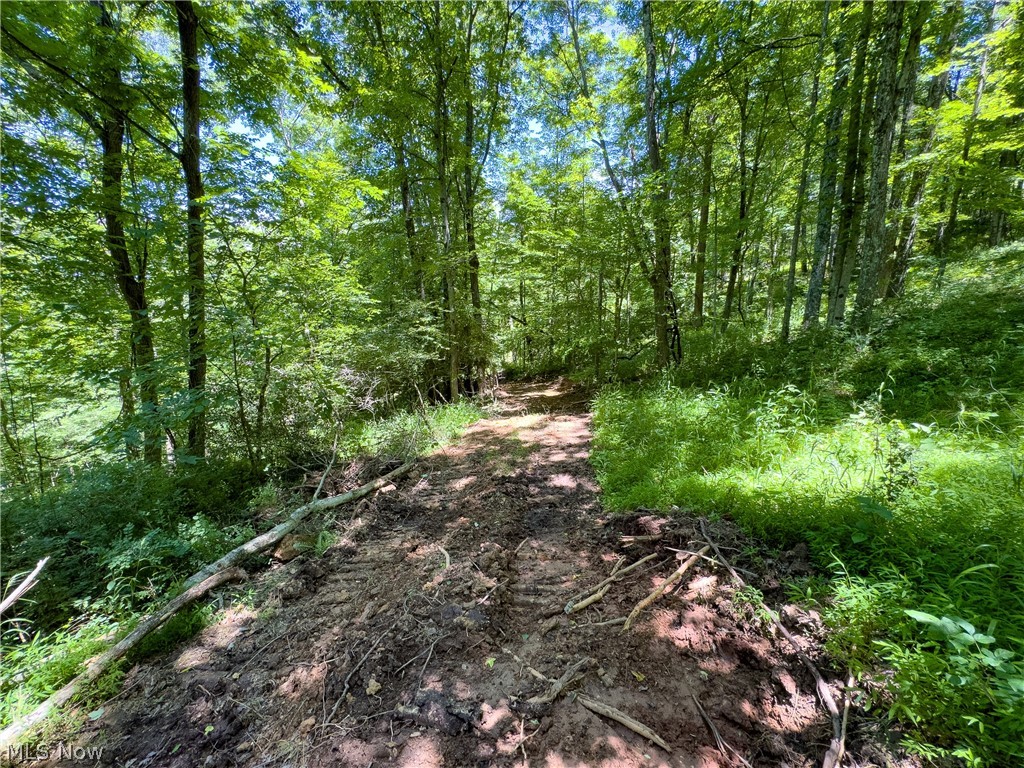 0 Long Hollow Road Pomeroy OH 45769
