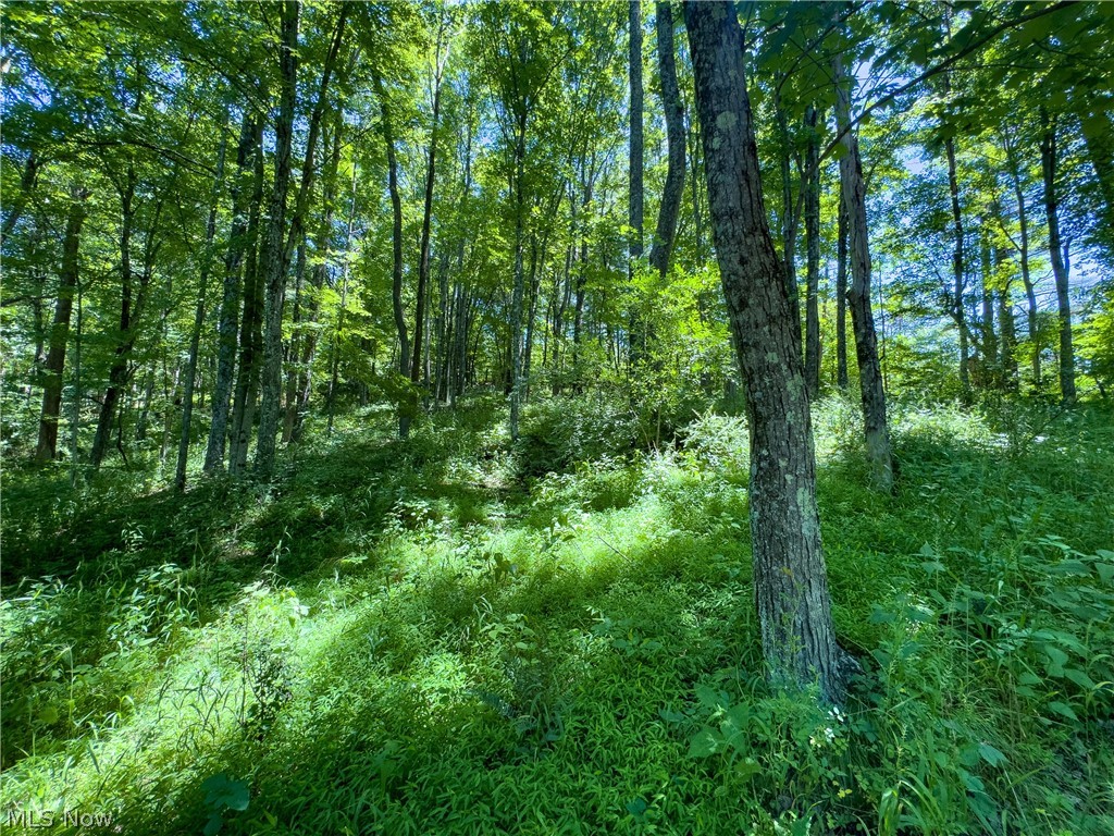 0 Long Hollow Road Pomeroy OH 45769