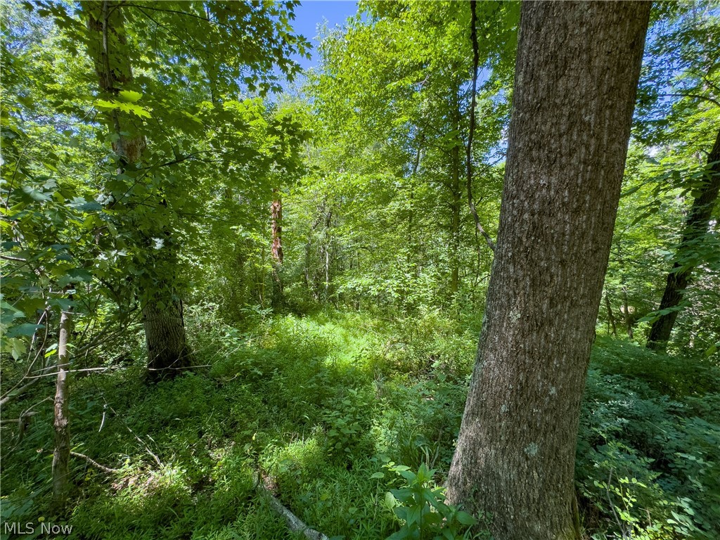 0 Long Hollow Road Pomeroy OH 45769