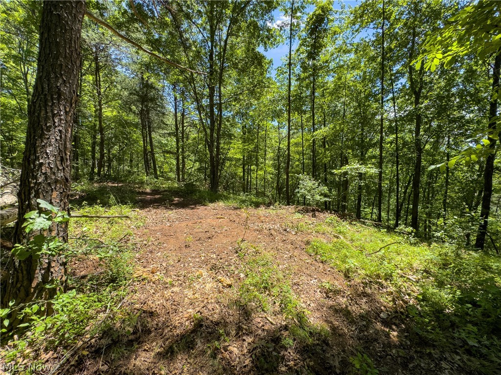 0 Long Hollow Road Pomeroy OH 45769