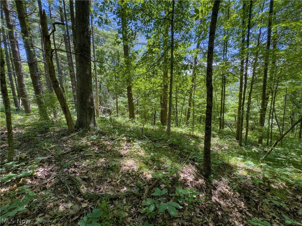 0 Long Hollow Road Pomeroy OH 45769