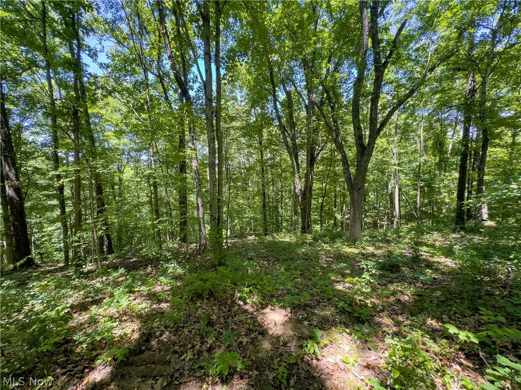 0 Long Hollow Road Pomeroy OH 45769