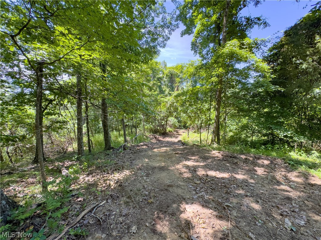 0 Long Hollow Road Pomeroy OH 45769