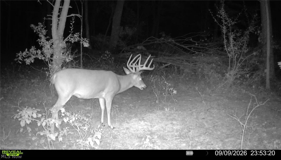 0 Long Hollow Road Pomeroy OH 45769