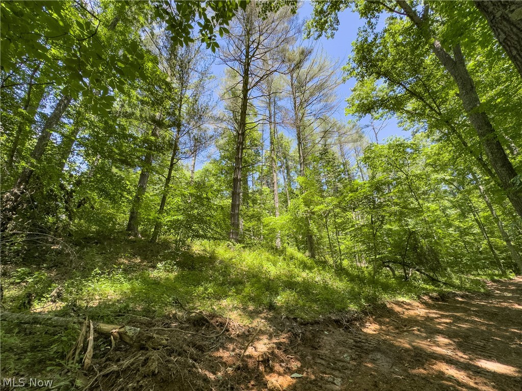 0 Long Hollow Road Pomeroy OH 45769