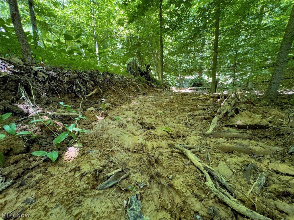 0 Long Hollow Road Pomeroy OH 45769