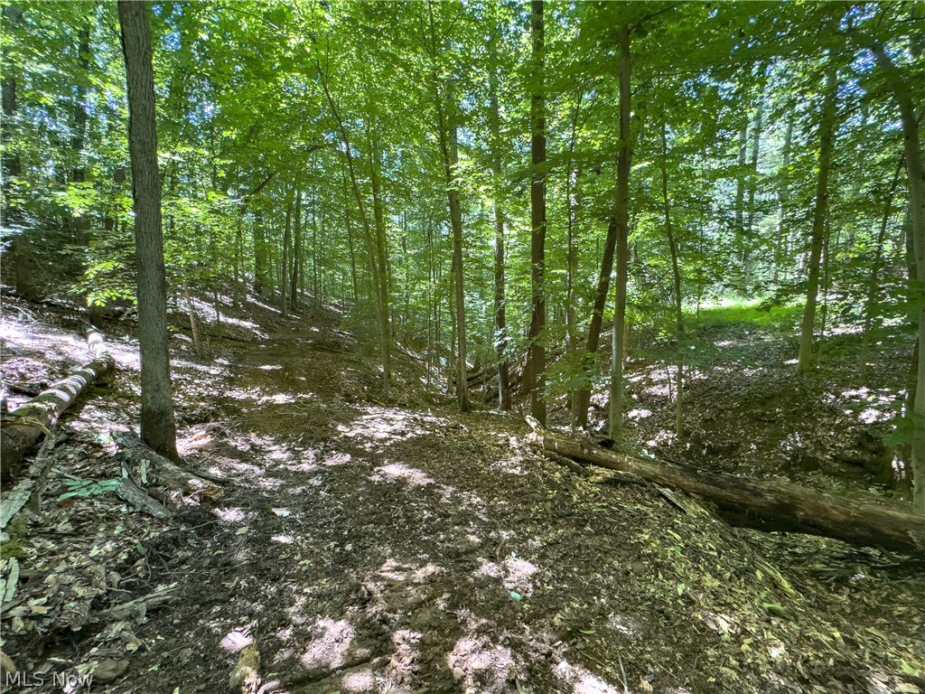 0 Long Hollow Road Pomeroy OH 45769