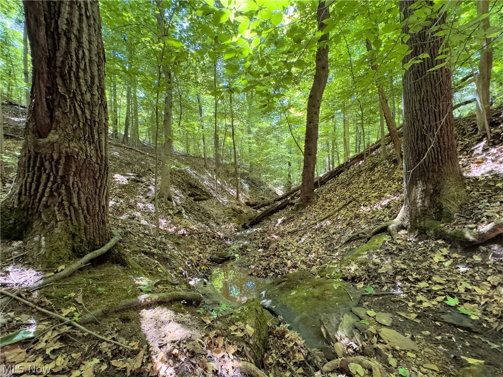 0 Long Hollow Road Pomeroy OH 45769