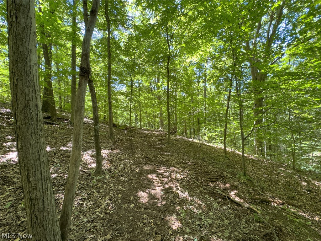 0 Long Hollow Road Pomeroy OH 45769