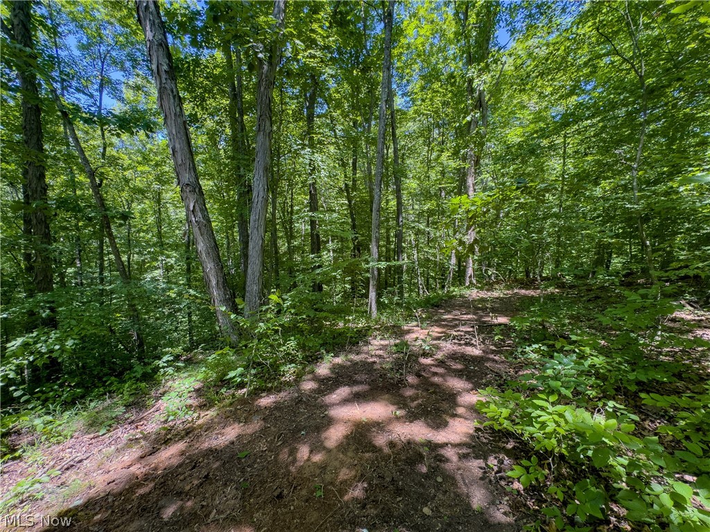 0 Long Hollow Road Pomeroy OH 45769