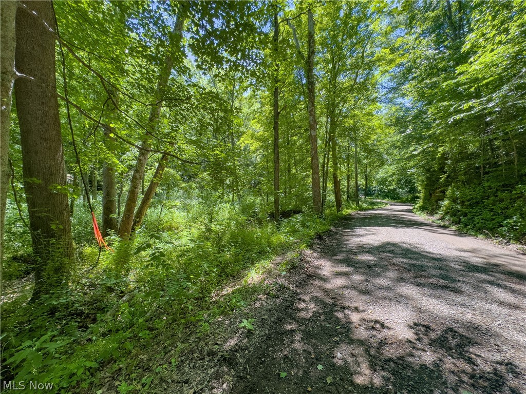 0 Long Hollow Road Pomeroy OH 45769