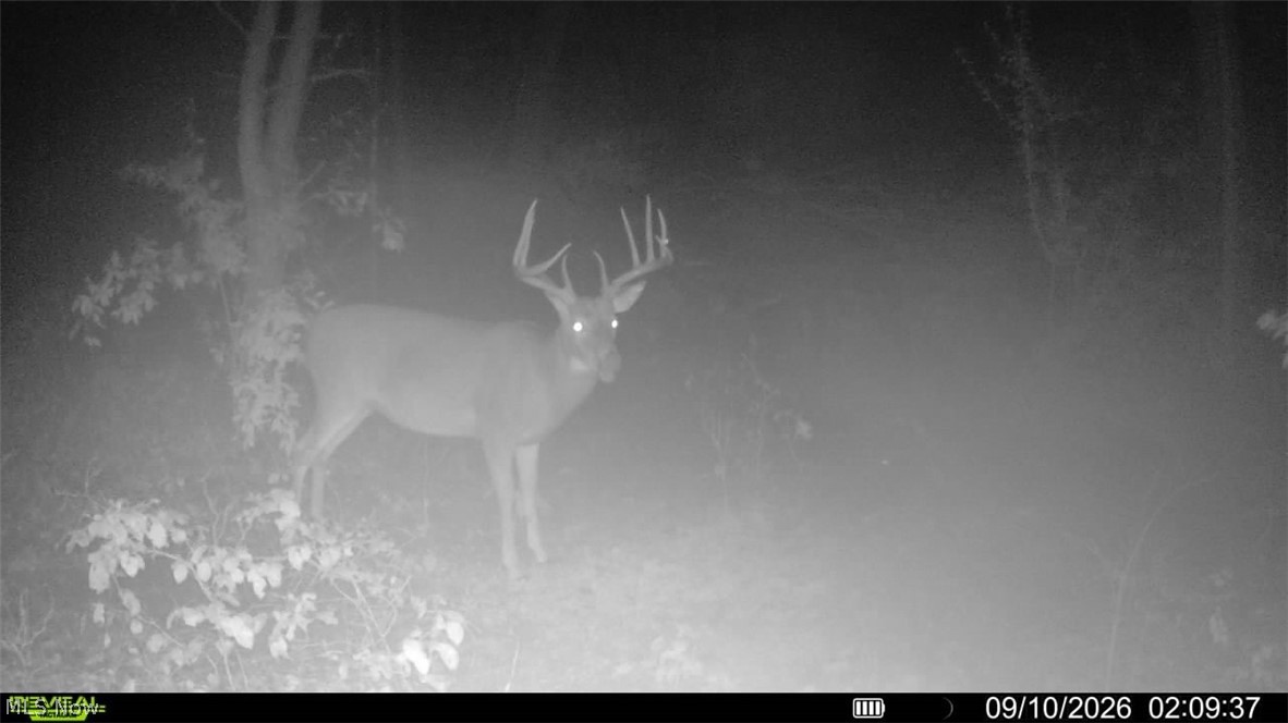 0 Long Hollow Road Pomeroy OH 45769
