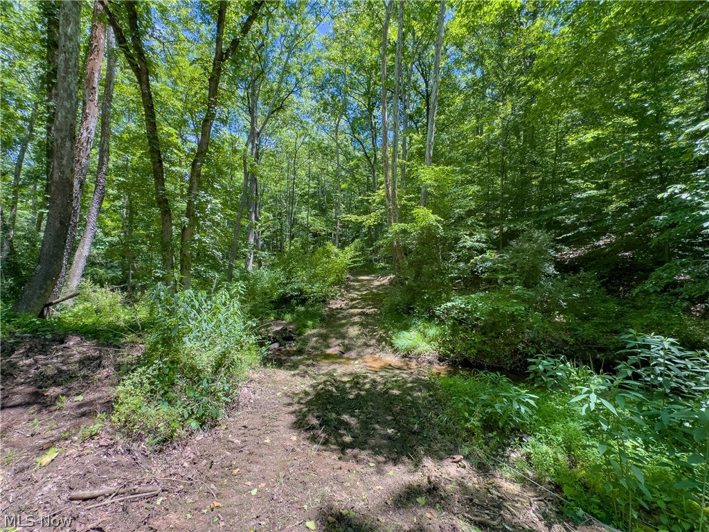 0 Long Hollow Road Pomeroy OH 45769