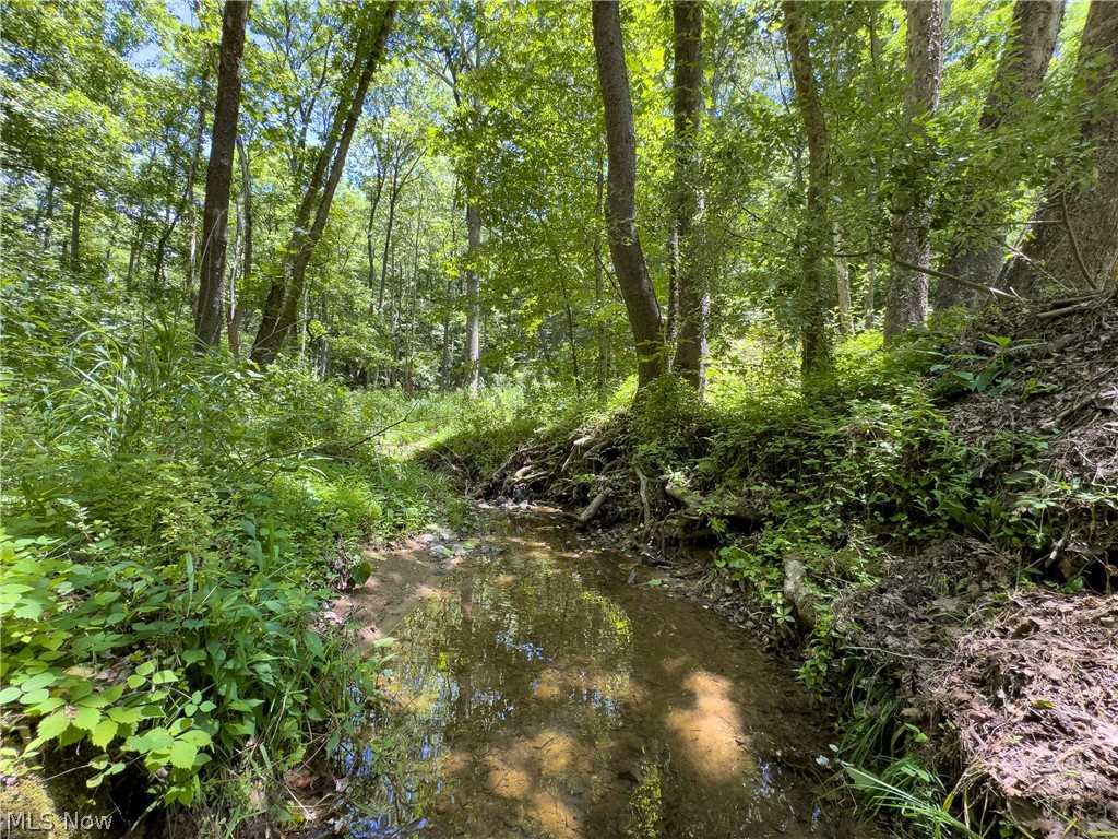 0 Long Hollow Road Pomeroy OH 45769